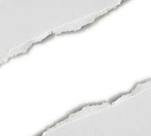 Torn Paper Banner, Isolated On White With Soft Shadow.