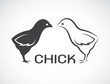 Vector image of an chick design on white background