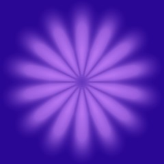 violet flower on a blue background