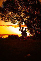 Romantic couple standing and kissing on background summer meadow sunset