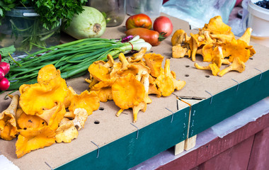 Fresh vegetables and mushrooms of new harvest ready to sale at t