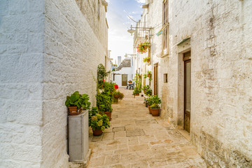 Canvas Print - The Trulli houses of Alberobello in Apulia in Italy