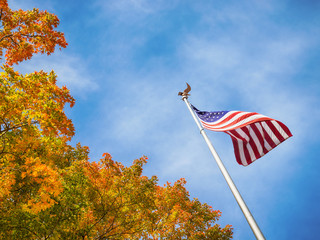 Wall Mural - american flag waving in the wind with golden autumn tree tops