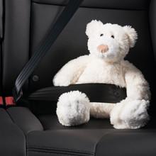 Teddy Bear Strapped In With Seat Belt In Back Seat Of Car