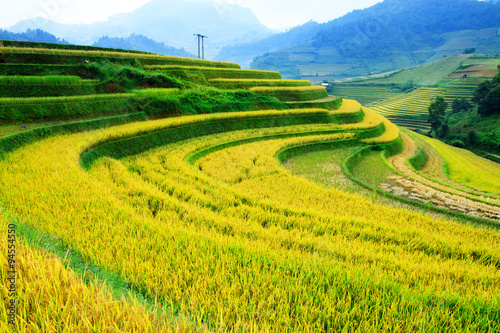 Foto Rice fields on terraced of Mu Cang Chai, YenBai, Vietnam