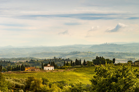 fields in tuscany