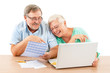 Happy senior couple pay bill on Internet