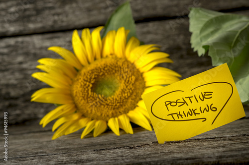 Fotografie, Obraz Positive thinking message next to a beautiful blooming yellow su