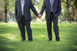 Image of two men Holding hands at gay Wedding