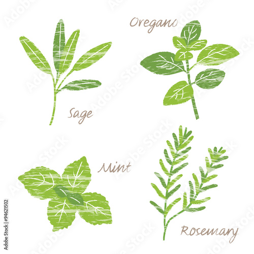 ハーブイラストセット Buy This Stock Vector And Explore Similar Vectors At Adobe Stock Adobe Stock
