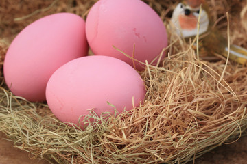 pink pickled preserved egg