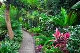 Fototapeta Tęcza - Exotic tropical garden landscape