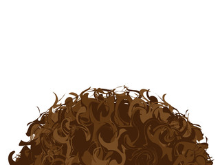 Top of head with brown curly hair on white background. Empty space fot your text. Vector illustration.