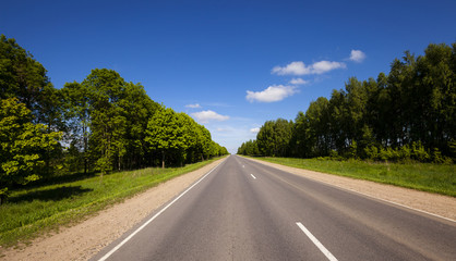 Wall Mural - the asphalted road  