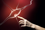 Fototapeta Konie - Neurology study concept