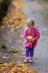 A child collecting autumn leaves