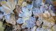autumn leaves with ice -2