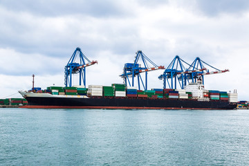 Wall Mural - Container ship in Genoa, Italy