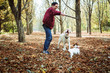 © kurapatka - man playing with dogs in park. Caucasian man walking with dogs in autumn park