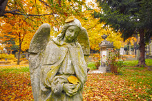 Old Cemetery In Autumn