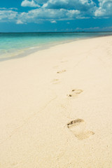 Wall Mural - Foot prints on a sandy beach with selective focus