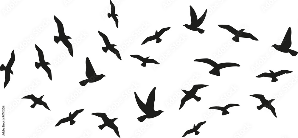 Flock of flying birds - obrazy, fototapety, plakaty 