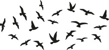 Bird Flying Silhouette Gratis Stock Bild Public Domain Pictures Bird Flying Silhouette Gratis Stock Bild Public Domain Pictures