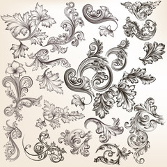 Wall Mural - vector set of floral elements for design. calligraphic vector