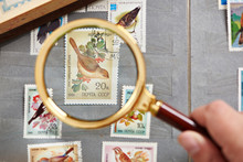 Postage Stamp With Birds Under Magnifier On Album