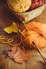 Wall Mural - Autumn Knitting, knitting needles and yarn in autumn colors

