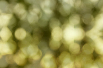 Wall Mural - greenl natural bokeh light for background