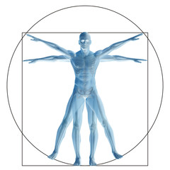 Wall Mural - Vitruvian human or man conceptual 3d proportion anatomy body