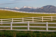 Snow Capped Mountain Peaks and white split rail Fencing