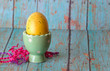 Yellow Easter Egg in a Pastel Green Egg Holder