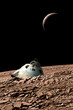 A harsh alien landscape is the crash site of a space capsule. - Elements of this image furnished by NASA.