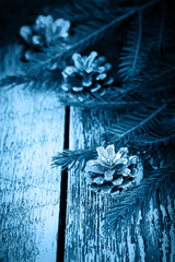 christmas card. cone with fir tree twigs on rustic wooden backgr