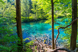 Fototapeta Na ścianę - Plitvice Lakes National Park