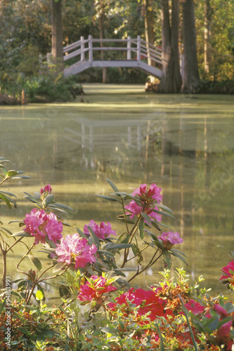 Naklejka - mata magnetyczna na lodówkę Magnolia Plantation garden of the Old South, Charleston, SC