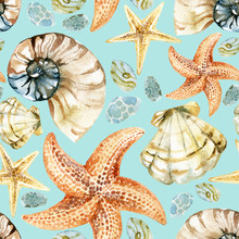 Watercolor Seashell Pattern