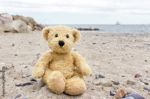 Obraz Dibond teddy bear / A teddy bear sits on a stone on the Baltic beach