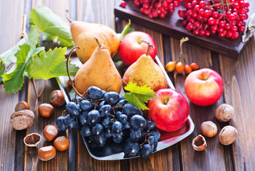 autumn fruits