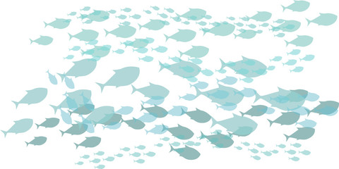 swimming fish illustration