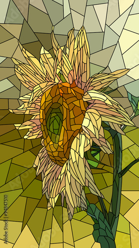Tapeta ścienna na wymiar Vector illustration of flower yellow sunflower.