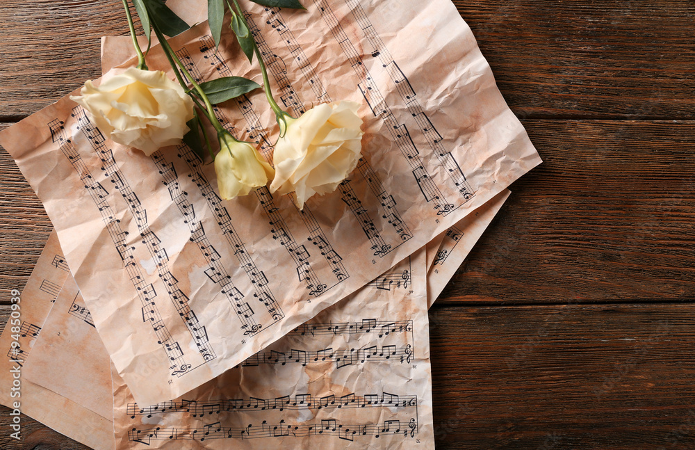 Beautiful white roses on musical notes pages background