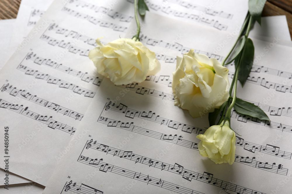 Beautiful white roses on musical notes pages background