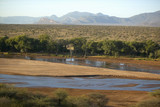 Fototapeta Na ścianę - Aerial photos of river and Lewa Conservancy in Kenya, Africa
