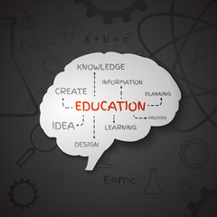 Poster - The concept of education of brain. The generation of knowledge.