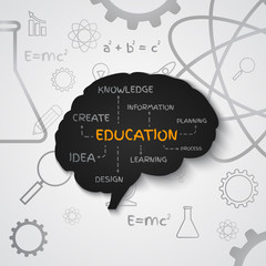 Poster - The concept of education of brain. The generation of knowledge.