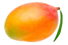 Mango Isolated On White