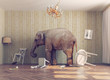 Leinwandbild Motiv a elephant in a room